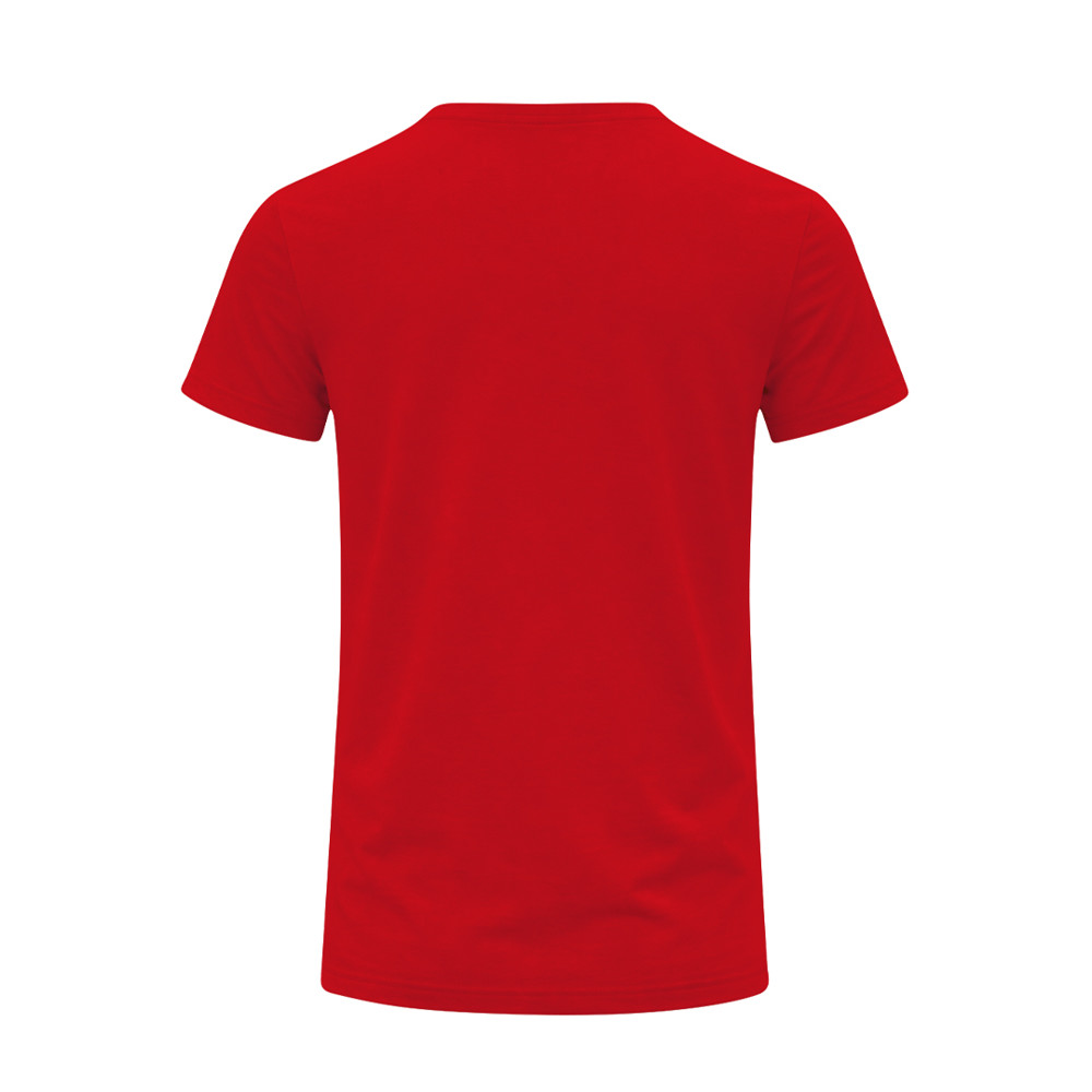 Adult Colour T-Shirt Perkins