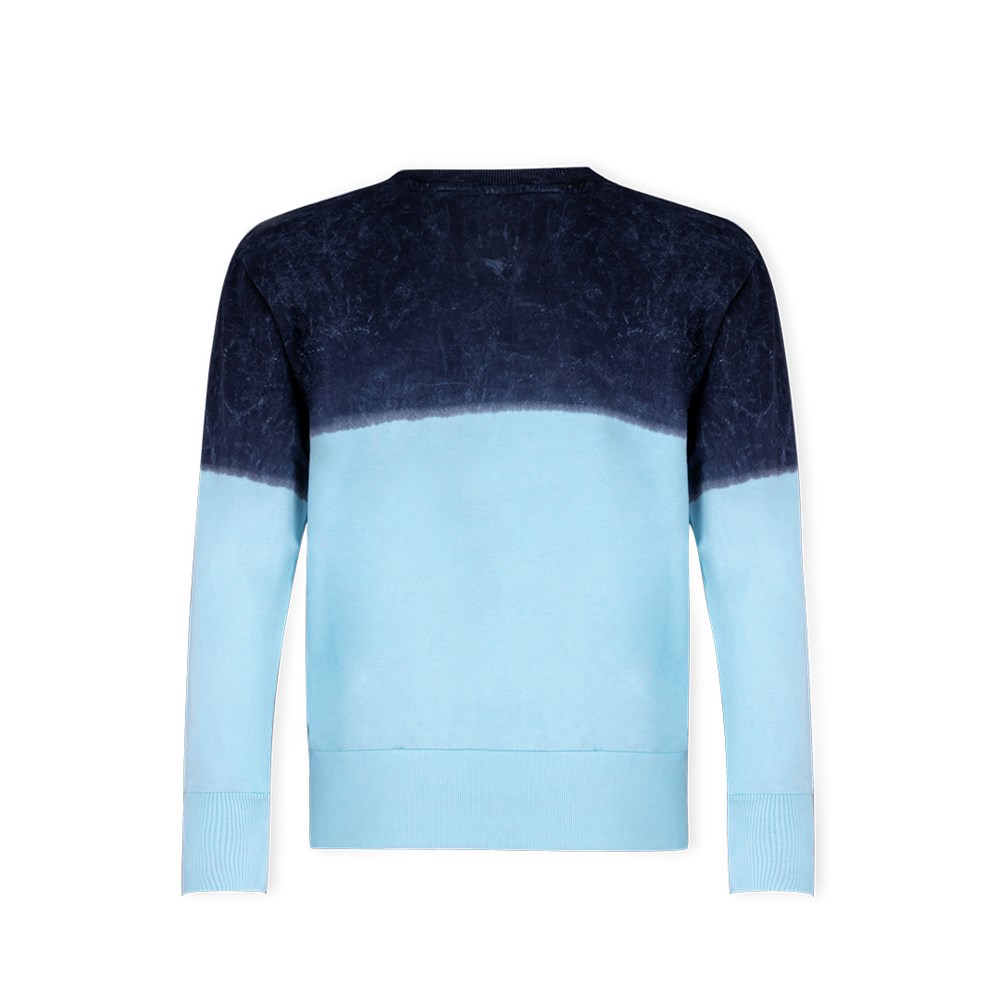 Adult Sweatshirt Truyi