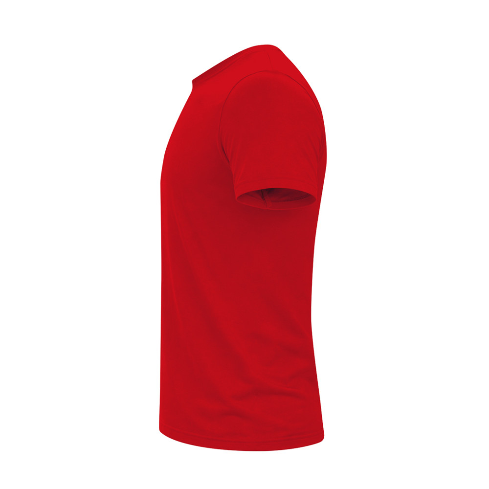 Adult Colour T-Shirt Perkins