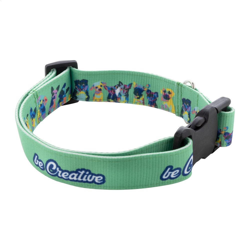 Ziggy - custom dog collar